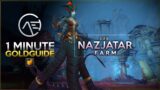 Goldfarm in einer Minute: Nazjatar Farm 2022  | WoW Shadowlands Gold Guide