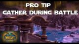 How to Gather in Wintergrasp During Battle – World of Warcraft Shadowlands Gold Making Guides