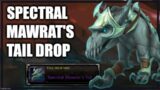 Patch 9.2: Spectral Mawrat's Tail MOUNT DROP! WoW Shadowlands