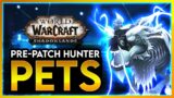 SHADOWLANDS 9.0 HUNTER PETS // New AWESOME PETS you can TAME in the 9.0 PRE PATCH for SHADOWLANDS