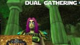Try This Dual Gathering Route! – World of Warcraft Shadowlands Gold Making Guides