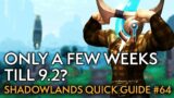 Your Weekly Shadowlands Guide #64