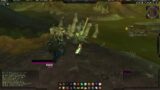 World of Warcraft: Shadowlands – Leveling Gameplay