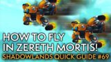 EARN FLYING! Your Shadowlands Quick Guide #69