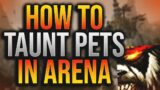 How to TAUNT PETS in Arena!  – 9.1 Shadowlands Mistweaver Monk PvP