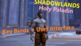 Shadowlands PvE Holy Paladin – Key Binds and UI Setup