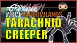 Tarachnid Creeper Mount Guide // WoW Shadowlands