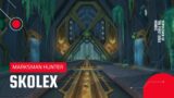 World of Warcraft: Shadowlands | Skolex Sepulcher of the First Ones Heroic | MM Hunter