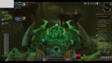 wow shadowlands restro druid healing dungeon with heal bot 11