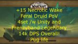 +15 Necrotic Wake 14k DPS Overall Feral Druid PoV – 9.2 WoW Shadowlands