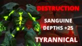 9.2 Shadowlands Destruction Warlock Sanguine depths +25 (Tyrannical)