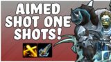 Aimed Shot ONE Shots! | Venthyr Marksmanship Hunter PvP | WoW Shadowlands 9.2