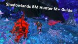 BM Hunter Shadowlands M+ Guide