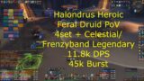 Halondrus Heroic Feral Druid PoV 45k BURST BIG BITES – 9.2 WoW Shadowlands