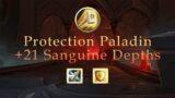 Protection Paladin +21 Sanguine Depths World of Warcraft Shadowlands 9.2  Season 3 M+ #warcraft
