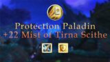 Protection Paladin +22 Mist of Tirna Scithe World of Warcraft Shadowlands 9.2  Season 3 M+ #warcraft