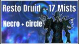Resto Druid Mythic+ Tips – ++17 Mists Commentary – Shadowlands 9.2