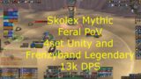 Skolex Mythic Feral PoV 13k DPS – 9.2 WoW Shadowlands