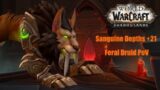 World of Warcraft Shadowlands: Sanguine Depths +21 Feral Druid PoV 9.2