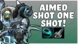 Aimed Shot. ONE SHOT! | Necrolord Marksmanship Hunter PvP | WoW Shadowlands 9.2