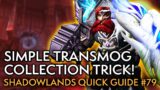 Awesome Transmog Sets And How To Get Them – Your Weekly Shadowlands Guide #79