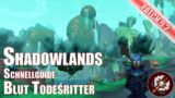 Blut Todesritter Einsteigerguide Shadowlands World of Warcraft Patch 9.2