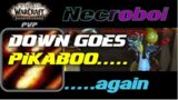 Down goes Pikaboo… Again / 9.2 WoW Shadowlands Arena