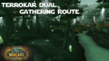 Dual Gather in this Pretty Forest – WoW Shadowlands Gold Making Guides