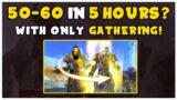 EASY 50-60 In JUST 5 Hours! Only Doing Gathering | Shadowlands