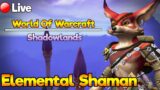Elemental Shaman Mayhem | WoW Shadowlands |