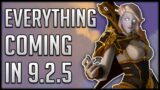 Everything Coming In Patch 9.2.5 (And Some Things That Aren’t) | WoW Shadowlands