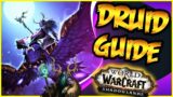 Resto Druid PvP Guide Shadowlands WoW 9.2