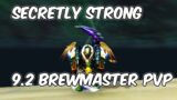 SECRETLY STRONG – 9.2 Brewmaster Monk PvP – WoW Shadowlands