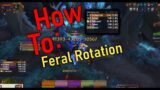 Shadowlands Feral Rotation Guide – Explanations During Heroic Run