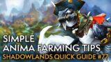 Small Things To Do Before 9.2.5 – Shadowlands Quick Guide #77