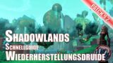 Wiederherstellungsdruide Einsteigerguide Shadowlands World of Warcraft Patch 9.2