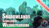 Wildheitsdruide Einsteigerguide Shadowlands World of Warcraft Patch 9.2