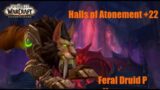 World of Warcraft Shadowlands: Halls of Atonement +22 Feral Druid PoV 9.2