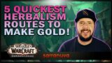 5 Quickest Herbalism Routes in Shadowlands to Make Gold!