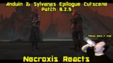 Anduin and Sylvanas 9.2.5 Epilogue Cinematic REACTION – World of Warcraft: Shadowlands