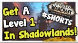 Get a Level 1 into Shadowlands! Cheap Mats! | WoW #shorts |
