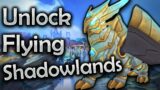 How to fly in Shadowlands – World of Warcraft | Quick Guide