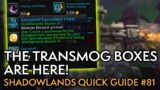 Transmog A Tiny Bit Easier! Your Weekly Shadowlands Guide #81