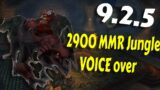 WoW Jungle 2900 MMR Voice Over – 9.2.5 Shadowlands