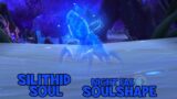 WoW Shadowlands 9.2 – Silithid Soul | Night Fae Soulshape