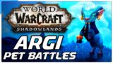 Argi Pet Battle PvP! World of Warcraft Shadowlands Competitive WoW Battle Pet Team Guide!