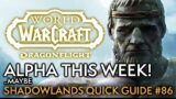 Dragonflight Alpha MIGHT Start This Week! Your Weekly Shadowlands Guide #86