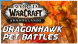 Dragonhawk Pet Battle PvP! World of Warcraft Shadowlands Competitive WoW Battle Pet Team Guide!