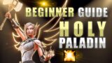 HOLY PALADIN PVE BEGINNER GUIDE | SHADOWLANDS SEASONS 3 AND 4