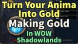 Making Gold In Shadowlands With Anima Why You Should Still Be Farming World Bosses In WOW 9.2.5